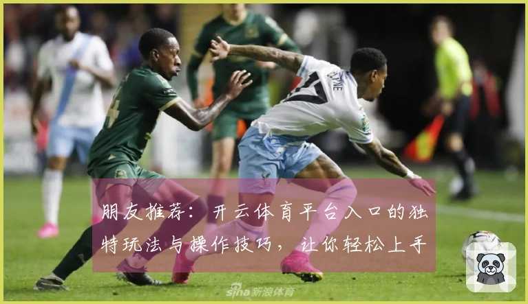 朋友推荐：开云体育平台入口的独特玩法与操作技巧，让你轻松上手！